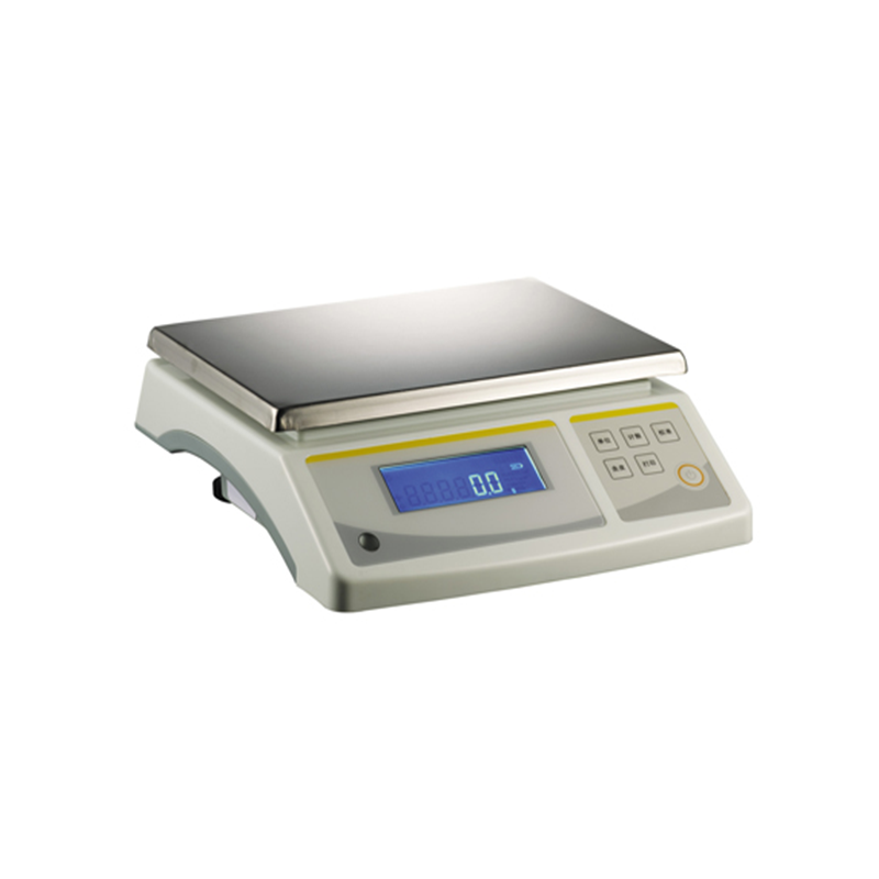 YP100001 series electronic balance